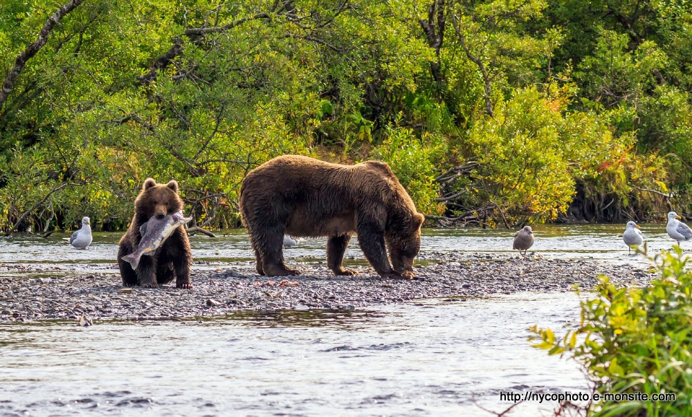 Alaska 114