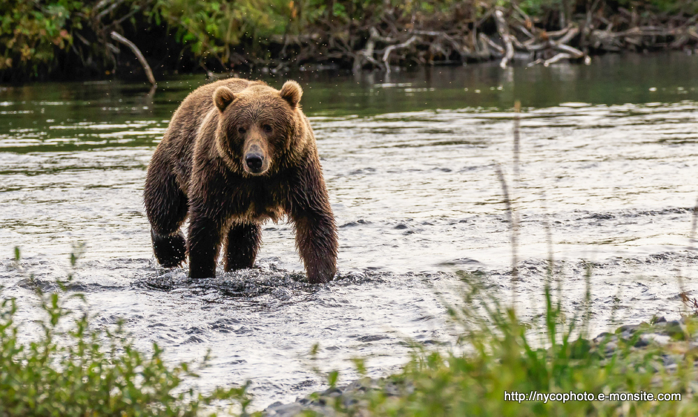 Alaska 122