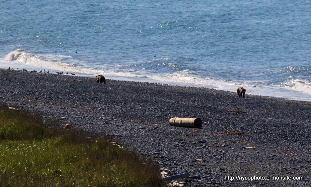 Alaska 70